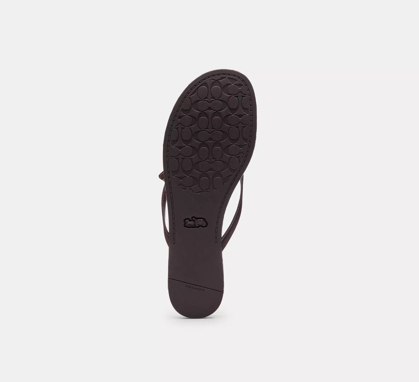 Bow Flip Flop In Signature